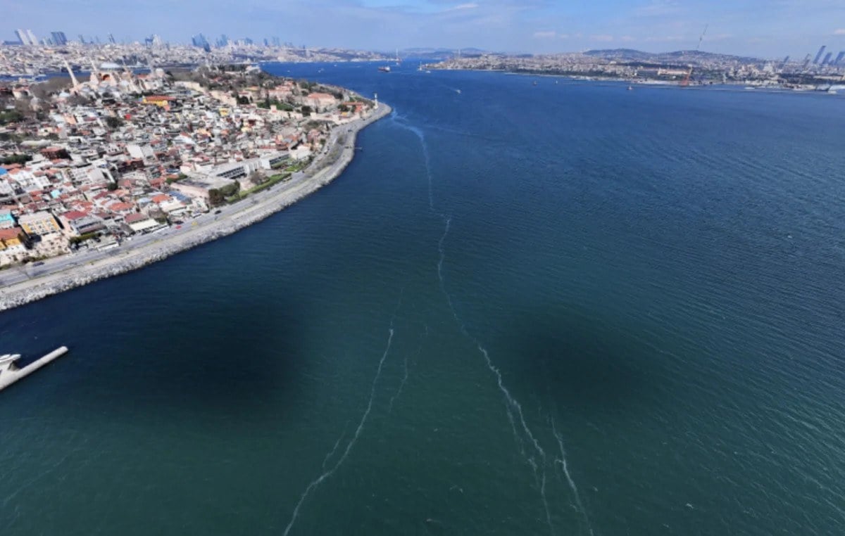 Marmara Denizinde denizanasi istilasi Sebebi deniz kirliligi