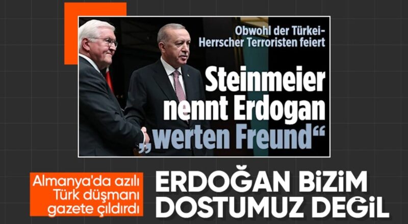 1714355604 Alman basini Steinmeierin Erdogana degerli dost demesinden rahatsiz oldu