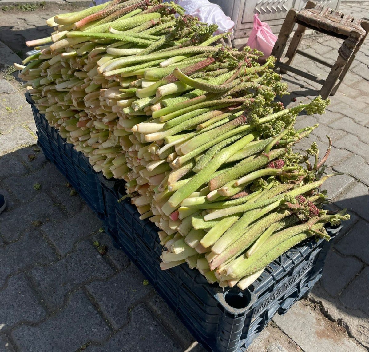 Bitliste yayla muzu uckun tezgahlardaki yerini aldi