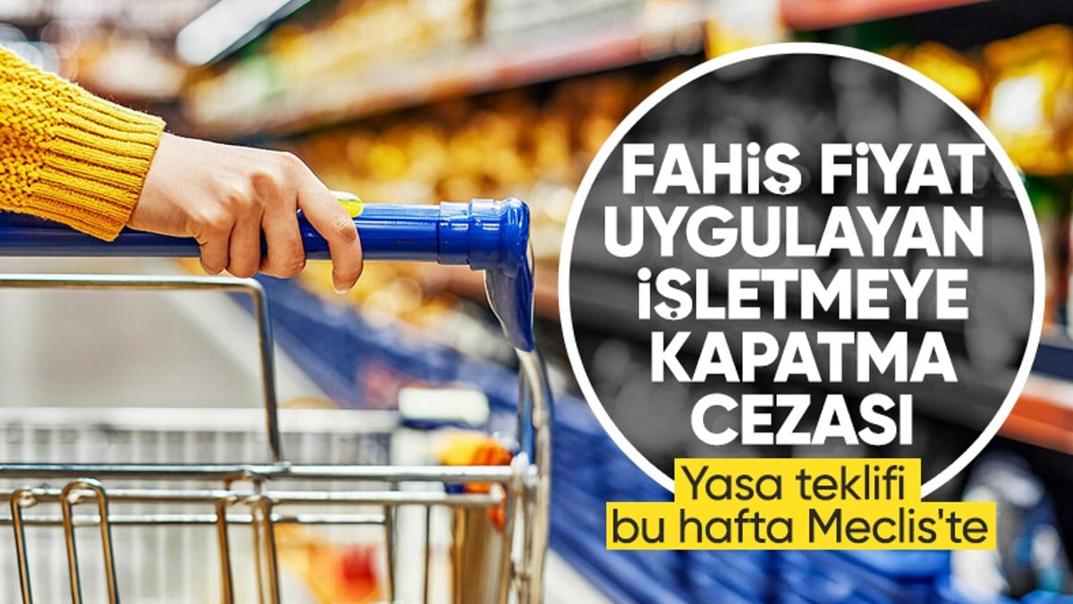 Fahis fiyata dur diyecek yasa teklifi geliyor